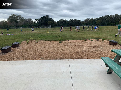 Space after landscaping